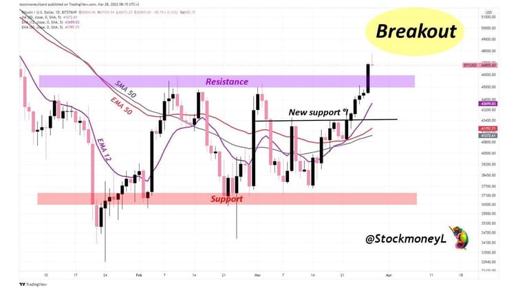 Stockmoney Lizards Newsletter - Issue #6